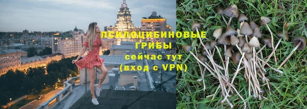 соль ск Осинники