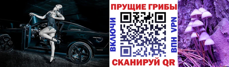Галлюциногенные грибы Psilocybine cubensis  купить наркотик  Палласовка 